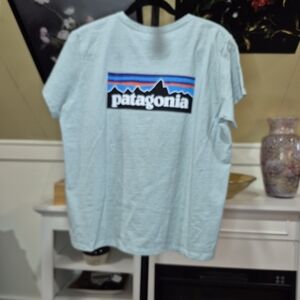 Patagonia Light Blue Short Sleeve Tee 2136